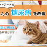 【糖尿病な猫ちゃん必見】キャットフードの選び方とおすすめランキング