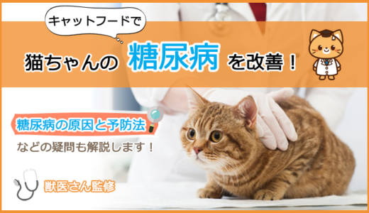 【糖尿病な猫ちゃん必見】キャットフードの選び方とおすすめランキング