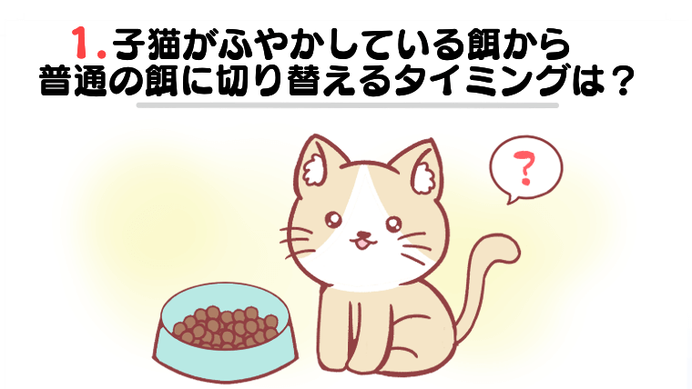 1.子猫がふやかしている餌から普通の餌に切り替えるタイミングは？