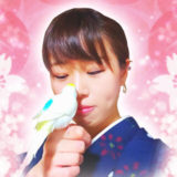 叶紫若先生