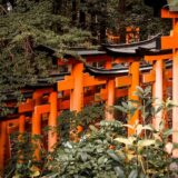 【金運アップ】関西の神社・パワースポット13選！最強のご利益を得る参拝方法