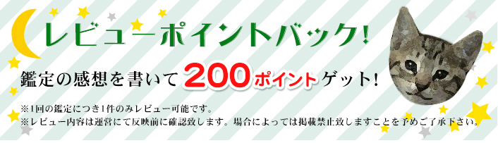 レビューを書いてポイントゲット