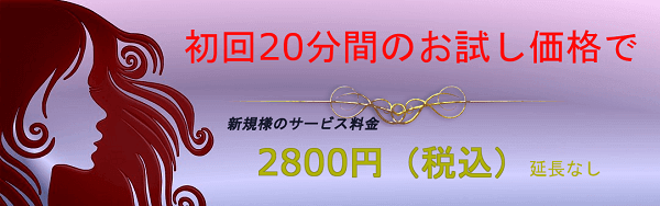 電話占い月の猫の初回特典