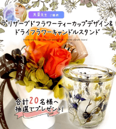 天菜（あな）先生からのプレゼント