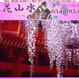 電話占い「籐花山水」