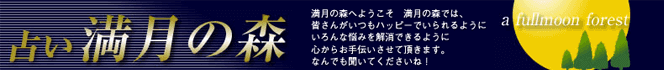 満月の森