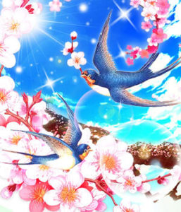 心桜先生