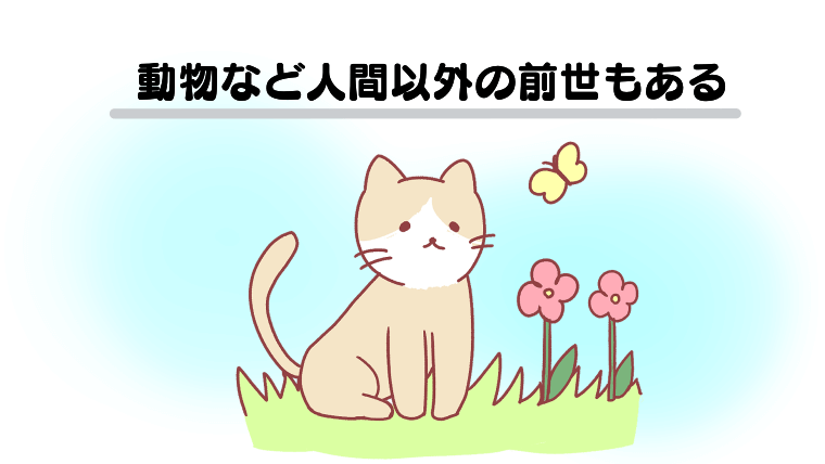 動物など人間以外の前世もある