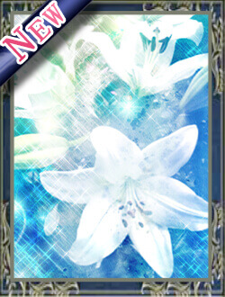 八雲みこと先生