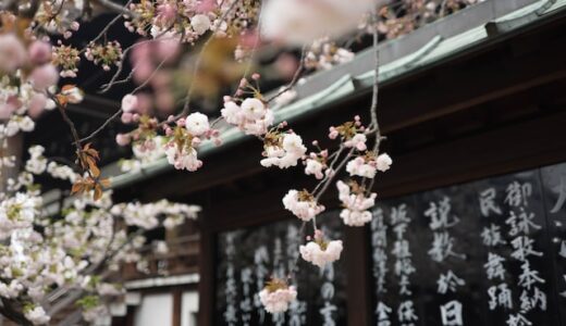 【全国】金運神社の御朱印で開運しよう！ご利益があるおすすめの神社・お寺まとめ