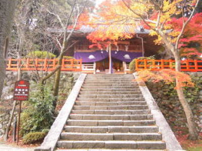 高鴨神社